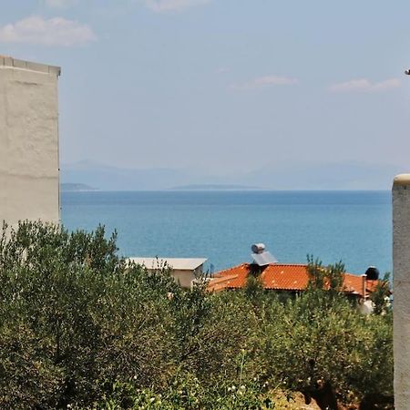 Selfcatering -Studio Helen No 7 Хіропігадо Екстер'єр фото